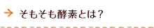 そもそも酵素とは？