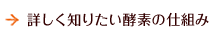詳しく知りたい酵素の仕組み