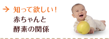 知ってほしい！赤ちゃんと酵素の関係