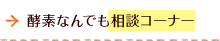 酵素なんでも相談コーナー